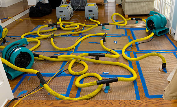 Professional Water Damage Restoration technician working in New Cumberland, PA